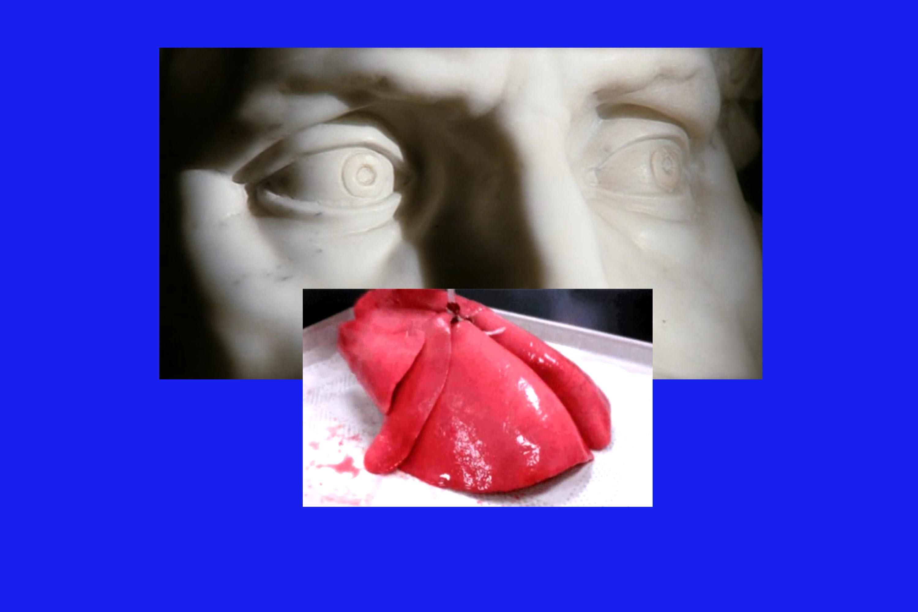 Collage comprising of image of white marble male face in close crop around eyes, and image of dissected lung. Both images are on a blue background. Included in the exhibition Kihlberg And Henry, This Building, This breath.